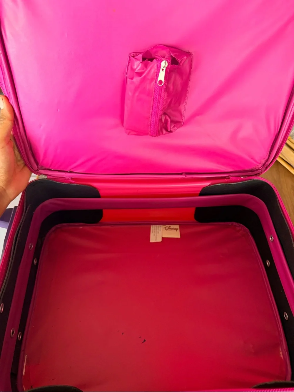 Disney Princess luggage